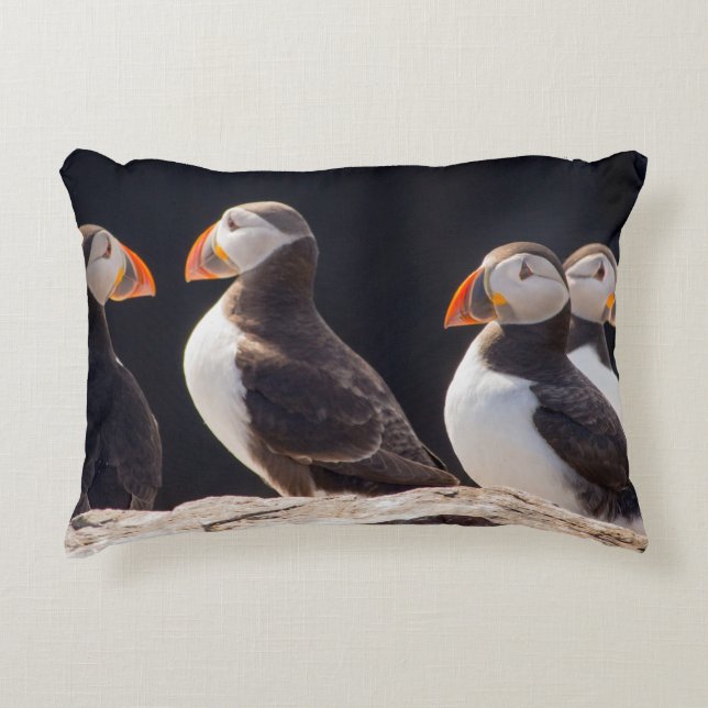 Puffins Accent Pillow (Front)