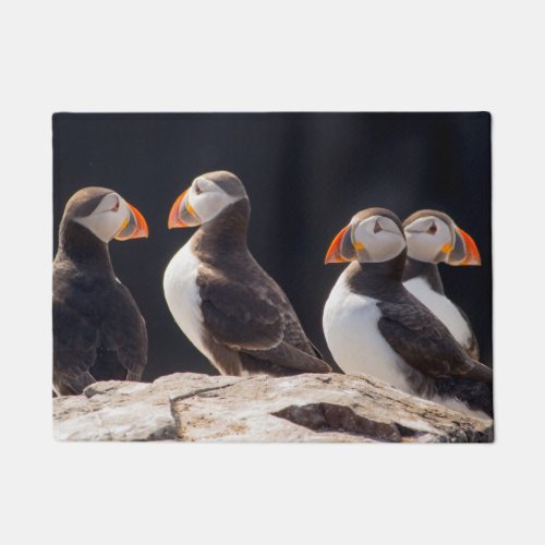 Puffins Doormat