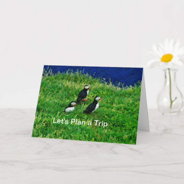  Puffins greeting Card (Small Plant)