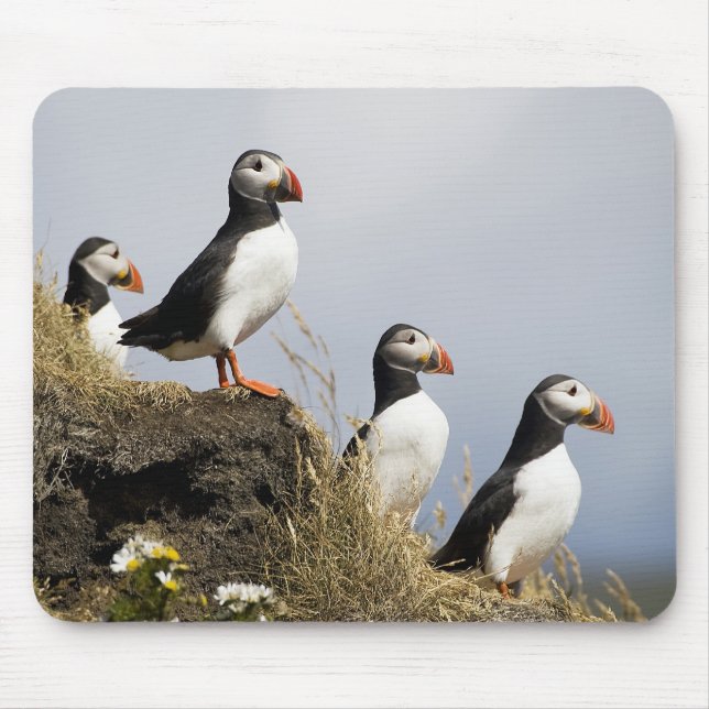 Puffins Mouse Pad (Front)