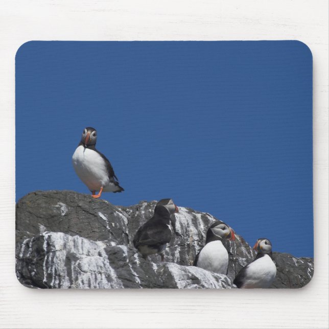 Puffins Mouse Pad (Front)