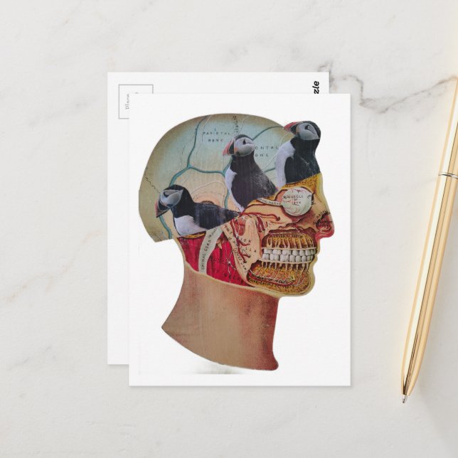 Puffins on the Brain Surreal mixed media collage  Postcard (Front/Back In Situ)