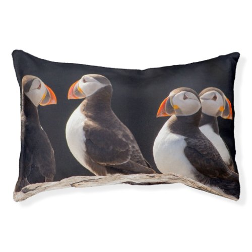 Puffins Pet Bed