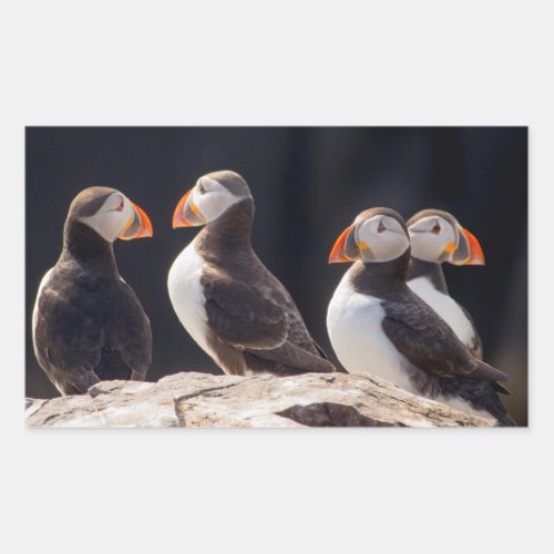 Puffins Rectangular Sticker