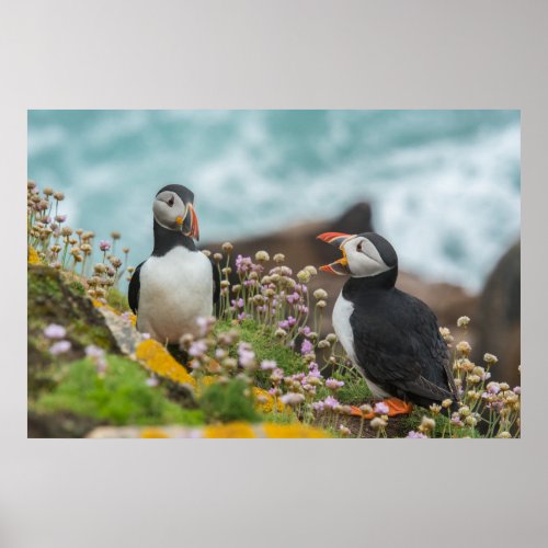 PUFFINS _ SALTEE ISLANDS IRELAND POSTER