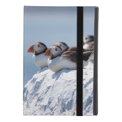 Puffins Seabirds Birds Wildlife iPad Mini 4 Case