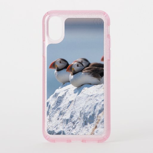 Puffins Seabirds Birds Wildlife Speck iPhone X Case