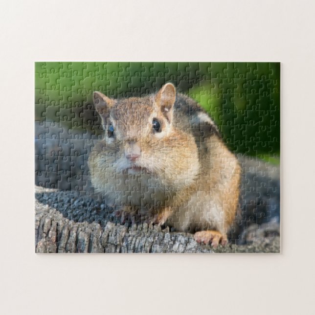 Puffy Cheeked Chipmunk Jigsaw Puzzle (Horizontal)