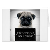 Pug (Front Horizontal)