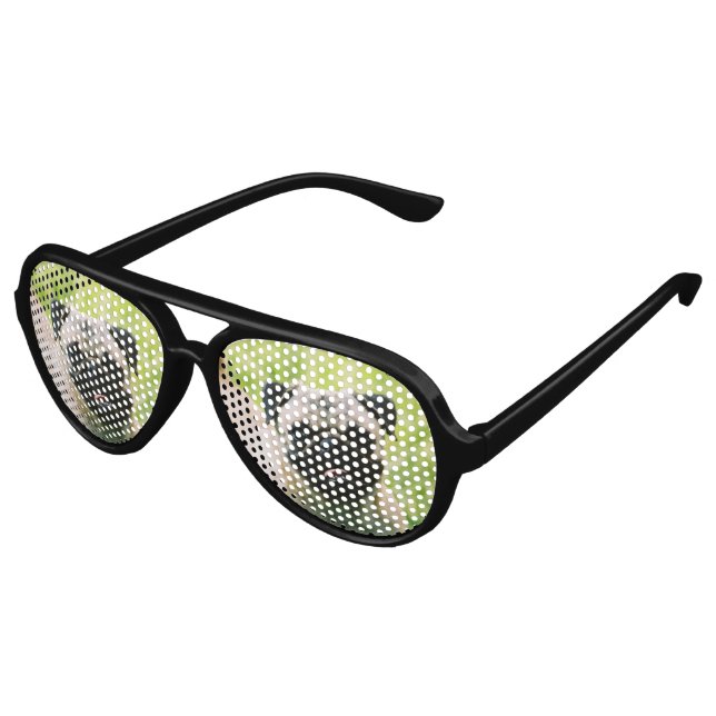 Pugs aviator outlet sunglasses