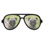 pug-13 aviator sunglasses