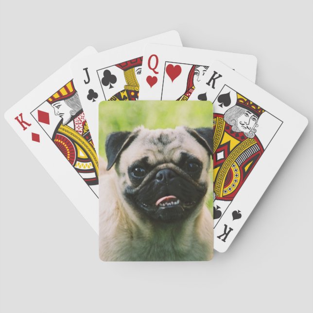pug-13 poker cards (Back)