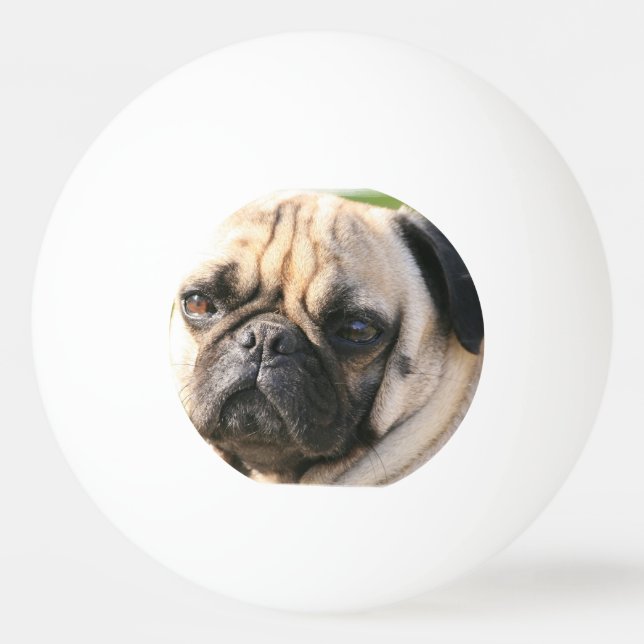 pug-18 Ping-Pong ball (Front)
