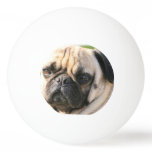 pug-18 Ping-Pong ball