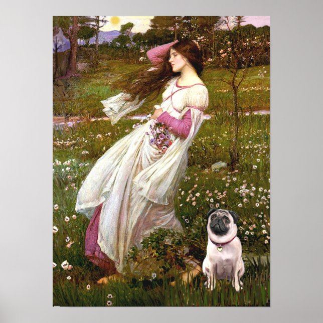 Pug 1 - Windlfowers Poster (Front)