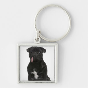 Pug (1 year old) sitting with its tongue hanging keychain