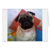 pug 4.png (Front Horizontal)