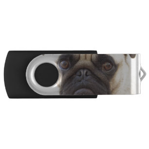 pug-7 flash drive