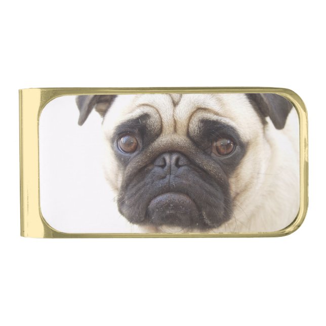 pug-7 gold finish money clip (Front)