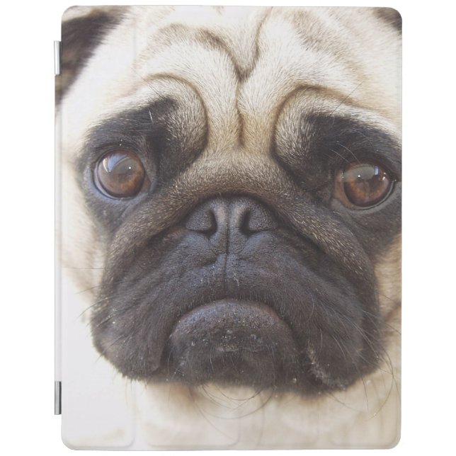pug-7 iPad smart cover (Front)