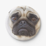 pug-7 paper plates