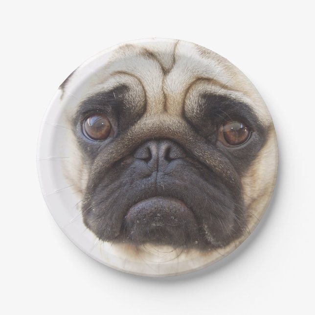 pug-7 paper plates (Front)