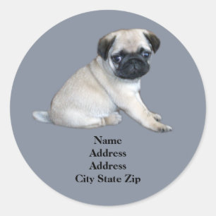 Pug Address Label