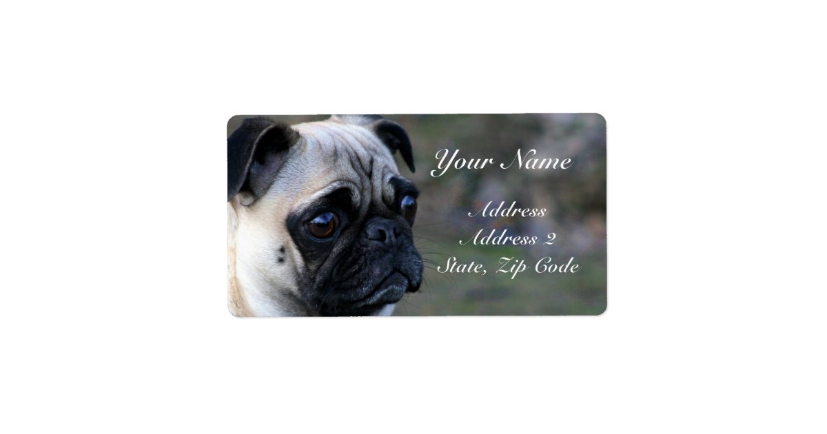 Pug Address Labels Zazzle