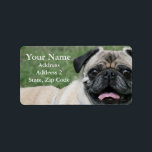 Pug Address Labels<br><div class="desc">Pug Address Labels</div>
