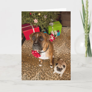 Pug and boxer sitting in front of Christmas tree Holiday Card