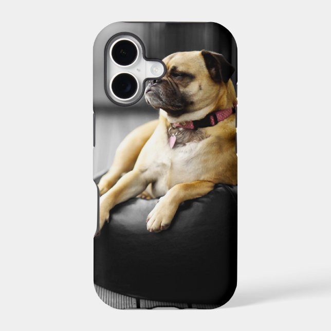 Pug at Rest Iphone Case (Back)