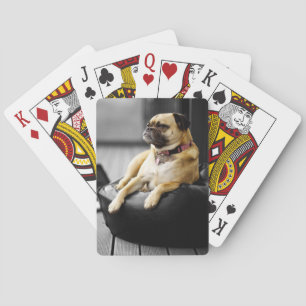 Pug at Rest Poker Cards