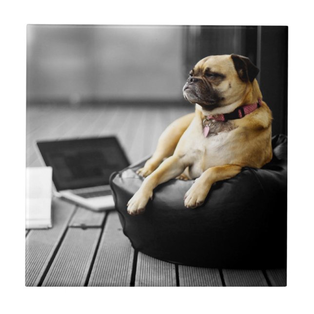 Pug at Rest Tile (Front)