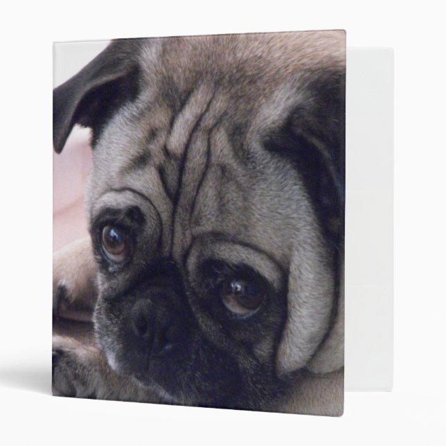 pug binder (Front/Inside)