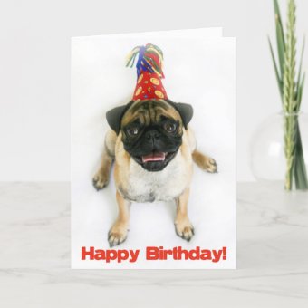 Pug Birthday Card 