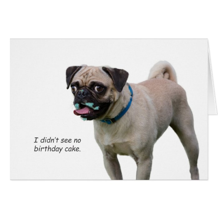 Pug Birthday Card by Focus for a Cause