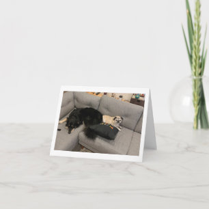 Pug birthday card funny