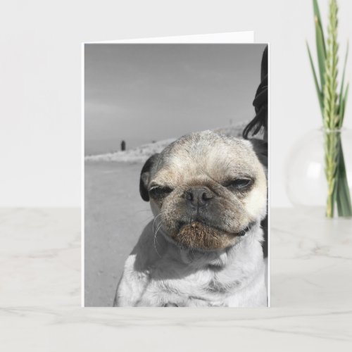 Pug birthday card Get Dirty