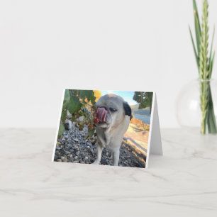 Pug birthday funny card