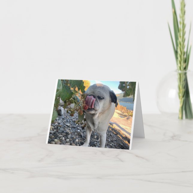 Pug birthday funny card (Front)