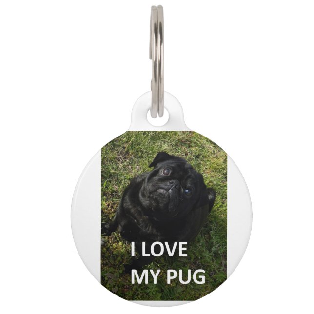 pug black love w pic pet tag (Front)