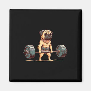 Pug Bodybuilder Gym Humour Weightlifting Workout M Magnet