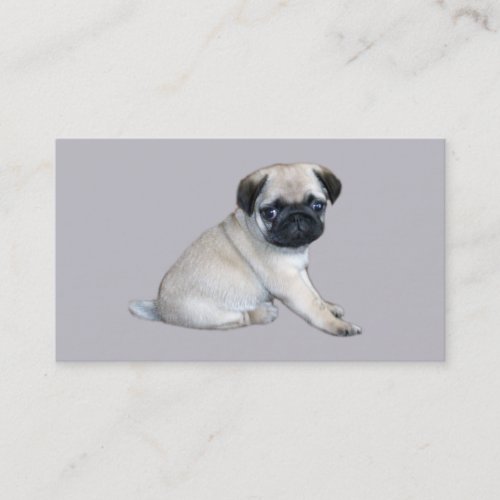 Pug Breeder Business Card