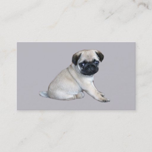 Customizable Pug Breeder Business Card