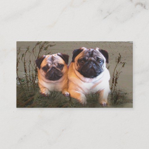 Customizable Pug Breeder Business Card