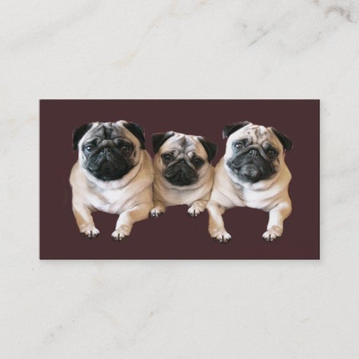 Customizable Pug Breeder Business Card