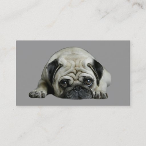 Customizable Pug Breeder Business Card