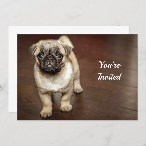 Pug Brown Dog Photo Birthday Invitation