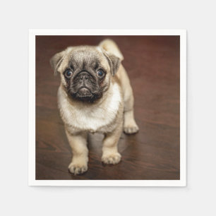 Pug Brown Dog Photo Napkins