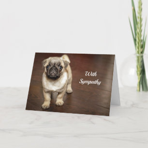 Pug Brown Dog Photo Sympathy Card